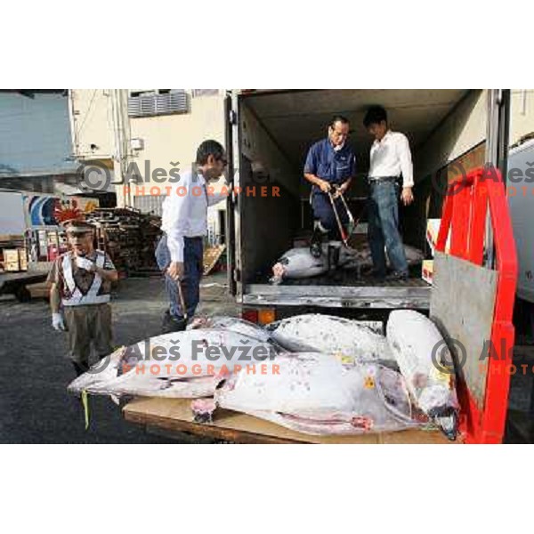 Tokyo (Japan)Tsukiji Market is the biggest wholesale fish and seafood market in the world. You can find more than 400 different types of seafood from cheap seaweed to the most expensive caviar, and from tiny sardines to 300 kg tuna 