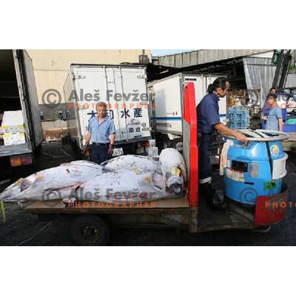 Tokyo (Japan)Tsukiji Market is the biggest wholesale fish and seafood market in the world. You can find more than 400 different types of seafood from cheap seaweed to the most expensive caviar, and from tiny sardines to 300 kg tuna 