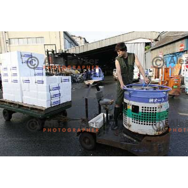 Tokyo (Japan)Tsukiji Market is the biggest wholesale fish and seafood market in the world. You can find more than 400 different types of seafood from cheap seaweed to the most expensive caviar, and from tiny sardines to 300 kg tuna 