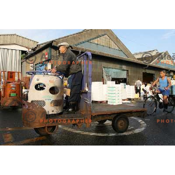 Tokyo (Japan)Tsukiji Market is the biggest wholesale fish and seafood market in the world. You can find more than 400 different types of seafood from cheap seaweed to the most expensive caviar, and from tiny sardines to 300 kg tuna 