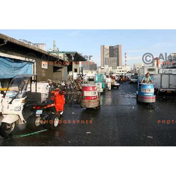 Tokyo (Japan)Tsukiji Market is the biggest wholesale fish and seafood market in the world. You can find more than 400 different types of seafood from cheap seaweed to the most expensive caviar, and from tiny sardines to 300 kg tuna 