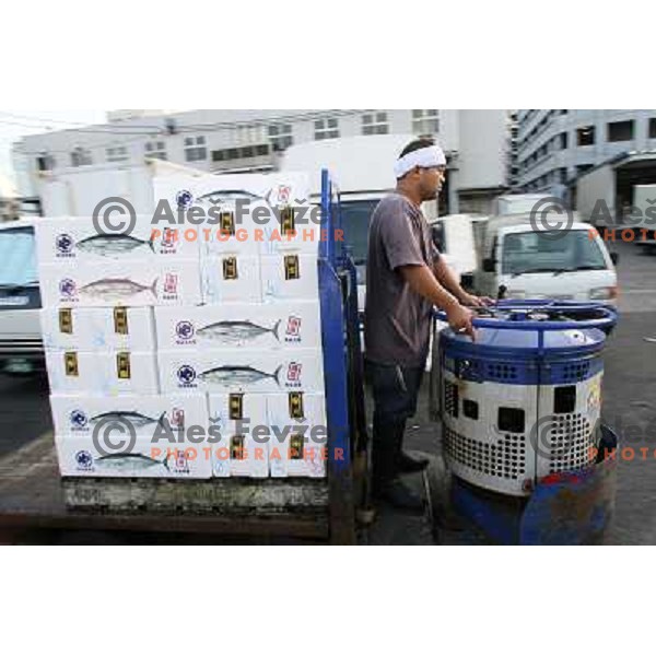 Tokyo (Japan)Tsukiji Market is the biggest wholesale fish and seafood market in the world. You can find more than 400 different types of seafood from cheap seaweed to the most expensive caviar, and from tiny sardines to 300 kg tuna 
