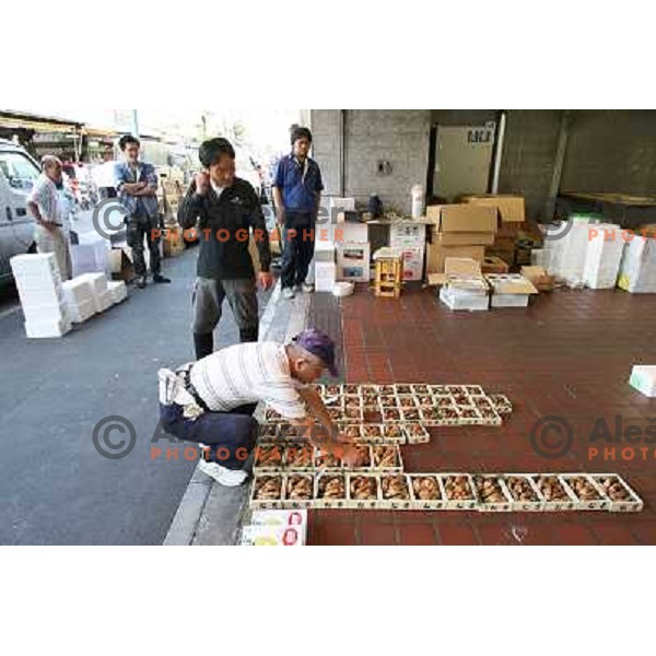 Tokyo (Japan)Tsukiji Market is the biggest wholesale fish and seafood market in the world. You can find more than 400 different types of seafood from cheap seaweed to the most expensive caviar, and from tiny sardines to 300 kg tuna 