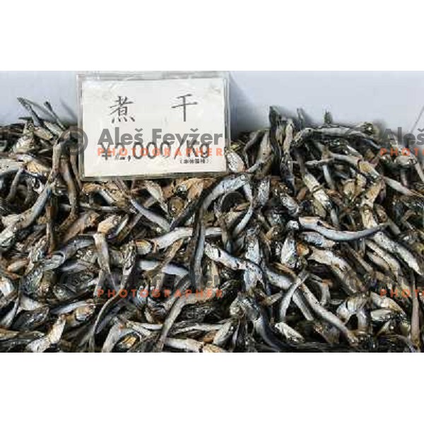 Tokyo (Japan)Tsukiji Market is the biggest wholesale fish and seafood market in the world. You can find more than 400 different types of seafood from cheap seaweed to the most expensive caviar, and from tiny sardines to 300 kg tuna 