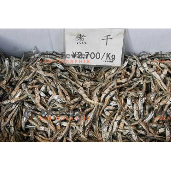 Tokyo (Japan)Tsukiji Market is the biggest wholesale fish and seafood market in the world. You can find more than 400 different types of seafood from cheap seaweed to the most expensive caviar, and from tiny sardines to 300 kg tuna 