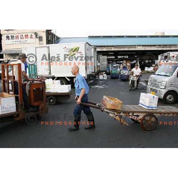 Tokyo (Japan)Tsukiji Market is the biggest wholesale fish and seafood market in the world. You can find more than 400 different types of seafood from cheap seaweed to the most expensive caviar, and from tiny sardines to 300 kg tuna 