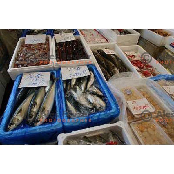 Tokyo (Japan)Tsukiji Market is the biggest wholesale fish and seafood market in the world. You can find more than 400 different types of seafood from cheap seaweed to the most expensive caviar, and from tiny sardines to 300 kg tuna 