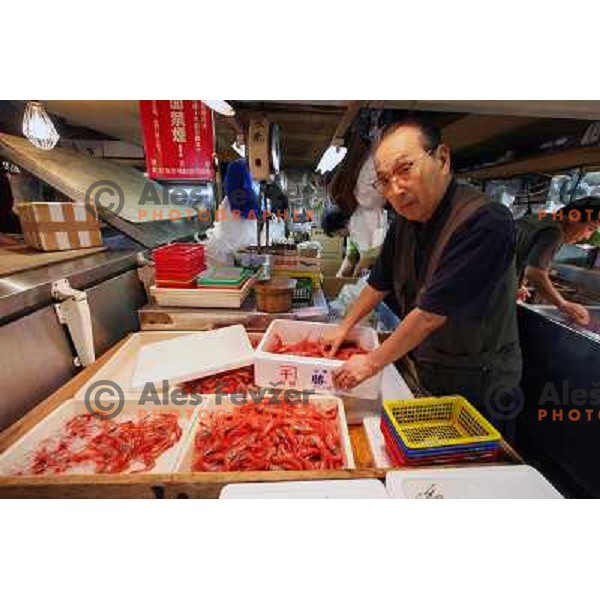 Tokyo (Japan)Tsukiji Market is the biggest wholesale fish and seafood market in the world. You can find more than 400 different types of seafood from cheap seaweed to the most expensive caviar, and from tiny sardines to 300 kg tuna 