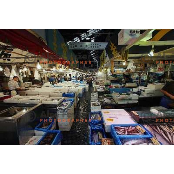 Tokyo (Japan)Tsukiji Market is the biggest wholesale fish and seafood market in the world. You can find more than 400 different types of seafood from cheap seaweed to the most expensive caviar, and from tiny sardines to 300 kg tuna 