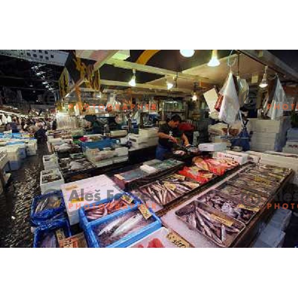 Tokyo (Japan)Tsukiji Market is the biggest wholesale fish and seafood market in the world. You can find more than 400 different types of seafood from cheap seaweed to the most expensive caviar, and from tiny sardines to 300 kg tuna 