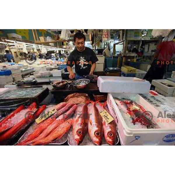 Tokyo (Japan)Tsukiji Market is the biggest wholesale fish and seafood market in the world. You can find more than 400 different types of seafood from cheap seaweed to the most expensive caviar, and from tiny sardines to 300 kg tuna 