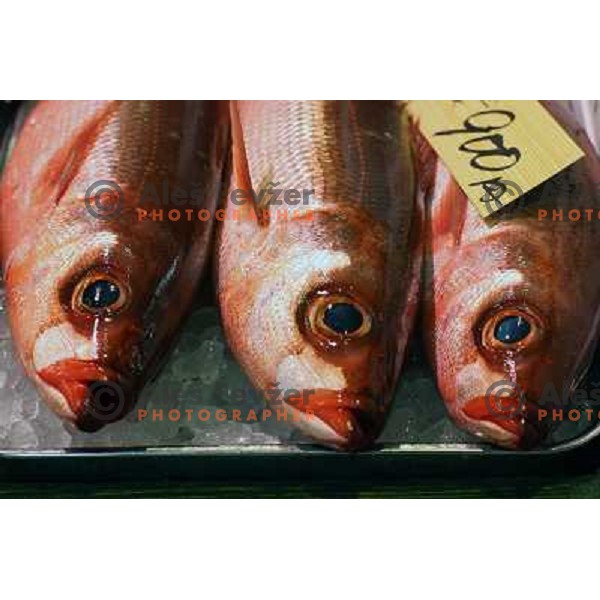 Tokyo (Japan)Tsukiji Market is the biggest wholesale fish and seafood market in the world. You can find more than 400 different types of seafood from cheap seaweed to the most expensive caviar, and from tiny sardines to 300 kg tuna 