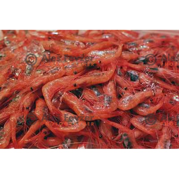 Tokyo (Japan)Tsukiji Market is the biggest wholesale fish and seafood market in the world. You can find more than 400 different types of seafood from cheap seaweed to the most expensive caviar, and from tiny sardines to 300 kg tuna 