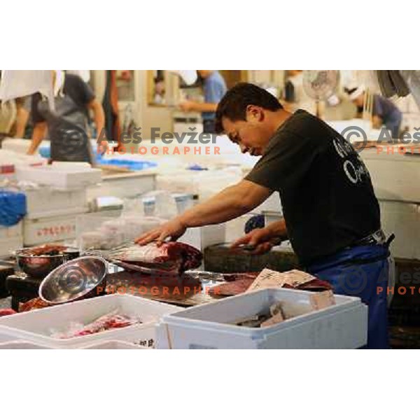 Tokyo (Japan)Tsukiji Market is the biggest wholesale fish and seafood market in the world. You can find more than 400 different types of seafood from cheap seaweed to the most expensive caviar, and from tiny sardines to 300 kg tuna 