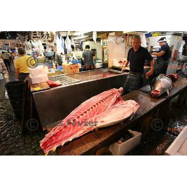 Tokyo (Japan)Tsukiji Market is the biggest wholesale fish and seafood market in the world. You can find more than 400 different types of seafood from cheap seaweed to the most expensive caviar, and from tiny sardines to 300 kg tuna 