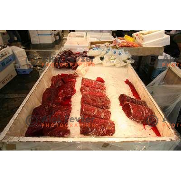 Tokyo (Japan)Tsukiji Market is the biggest wholesale fish and seafood market in the world. You can find more than 400 different types of seafood from cheap seaweed to the most expensive caviar, and from tiny sardines to 300 kg tuna 