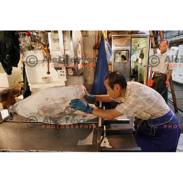 Tokyo (Japan)Tsukiji Market is the biggest wholesale fish and seafood market in the world. You can find more than 400 different types of seafood from cheap seaweed to the most expensive caviar, and from tiny sardines to 300 kg tuna 