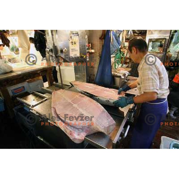 Tokyo (Japan)Tsukiji Market is the biggest wholesale fish and seafood market in the world. You can find more than 400 different types of seafood from cheap seaweed to the most expensive caviar, and from tiny sardines to 300 kg tuna 