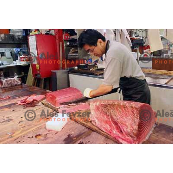 Tokyo (Japan)Tsukiji Market is the biggest wholesale fish and seafood market in the world. You can find more than 400 different types of seafood from cheap seaweed to the most expensive caviar, and from tiny sardines to 300 kg tuna 