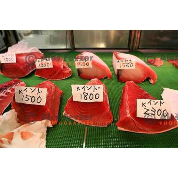 Tokyo (Japan)Tsukiji Market is the biggest wholesale fish and seafood market in the world. You can find more than 400 different types of seafood from cheap seaweed to the most expensive caviar, and from tiny sardines to 300 kg tuna 