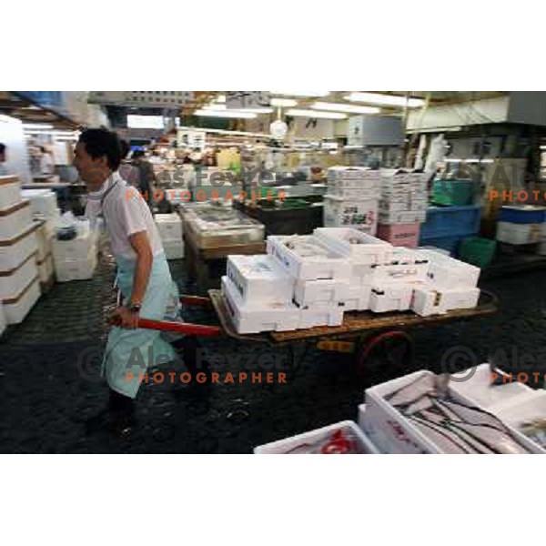 Tokyo (Japan)Tsukiji Market is the biggest wholesale fish and seafood market in the world. You can find more than 400 different types of seafood from cheap seaweed to the most expensive caviar, and from tiny sardines to 300 kg tuna 