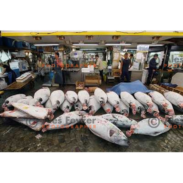 Tokyo (Japan)Tsukiji Market is the biggest wholesale fish and seafood market in the world. You can find more than 400 different types of seafood from cheap seaweed to the most expensive caviar, and from tiny sardines to 300 kg tuna 