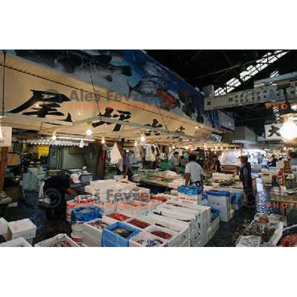 Tokyo (Japan)Tsukiji Market is the biggest wholesale fish and seafood market in the world. You can find more than 400 different types of seafood from cheap seaweed to the most expensive caviar, and from tiny sardines to 300 kg tuna 