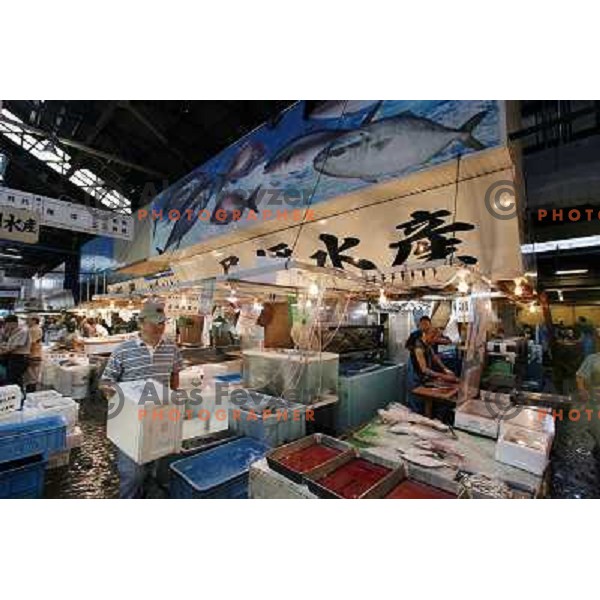 Tokyo (Japan)Tsukiji Market is the biggest wholesale fish and seafood market in the world. You can find more than 400 different types of seafood from cheap seaweed to the most expensive caviar, and from tiny sardines to 300 kg tuna 