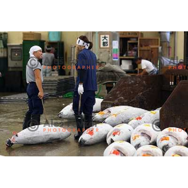 Tokyo (Japan)Tsukiji Market is the biggest wholesale fish and seafood market in the world. You can find more than 400 different types of seafood from cheap seaweed to the most expensive caviar, and from tiny sardines to 300 kg tuna 