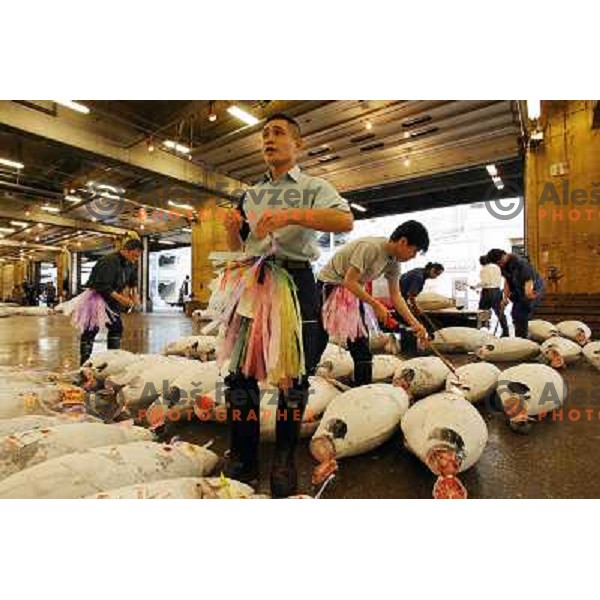 Tokyo (Japan)Tsukiji Market is the biggest wholesale fish and seafood market in the world. You can find more than 400 different types of seafood from cheap seaweed to the most expensive caviar, and from tiny sardines to 300 kg tuna 