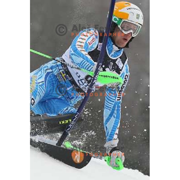 Axel Baeck of Sweden skiing in first run of men\'s slalom race at Audi FIS Alpine Ski World Cup 2011/2012 in Zagreb, Sljeme, Croatia on January 5, 2012 