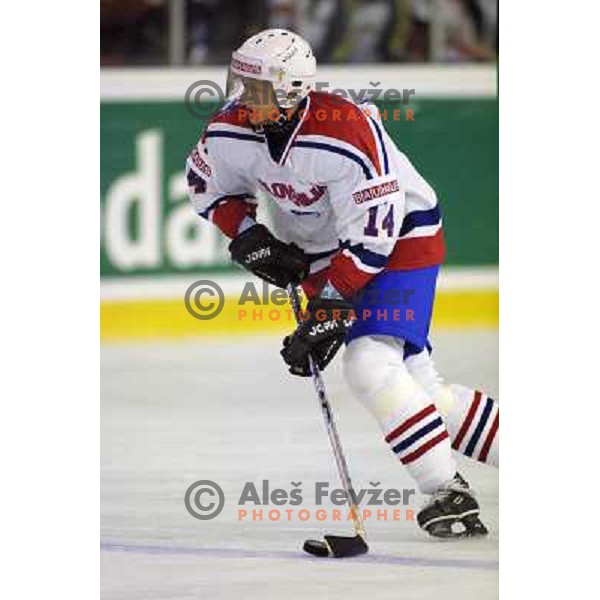 Dejan Kontrec of Slovenia Ice-Hockey team during World Championship group B in Ljubljana, Slovenia on April 2001