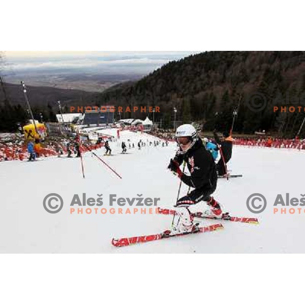 Course inspection before men\'s slalom race at Audi FIS Alpine Ski World Cup 2011/2012 in Zagreb, Sljeme, Croatia on January 5, 2012 