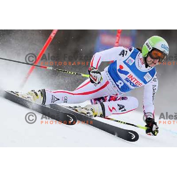 skiing during first run of 48. Zlata Lisica- Golden Fox Trophy FIS SKI World Cup Giant Slalom at Kranjska Gora, Slovenia on January 21, 2012 