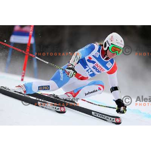 Suter (SUI) skiing during first run of 48. Zlata Lisica- Golden Fox Trophy FIS SKI World Cup Giant Slalom at Kranjska Gora, Slovenia on January 21, 2012 