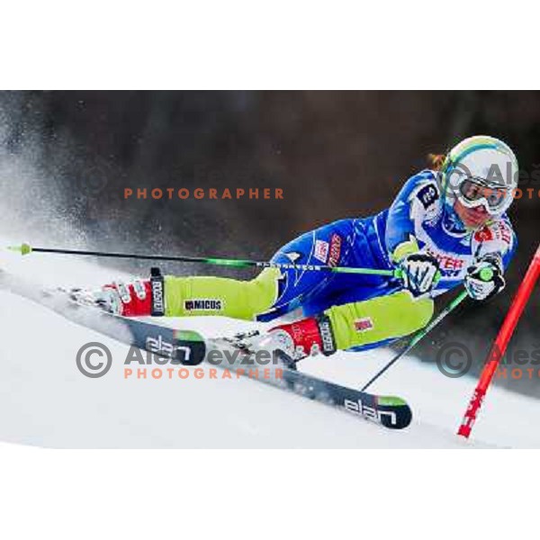 Ula Hafnar of Slovenia skiing during first run of 48. Zlata Lisica- Golden Fox Trophy FIS SKI World Cup Giant Slalom at Kranjska Gora, Slovenia on January 21, 2012 