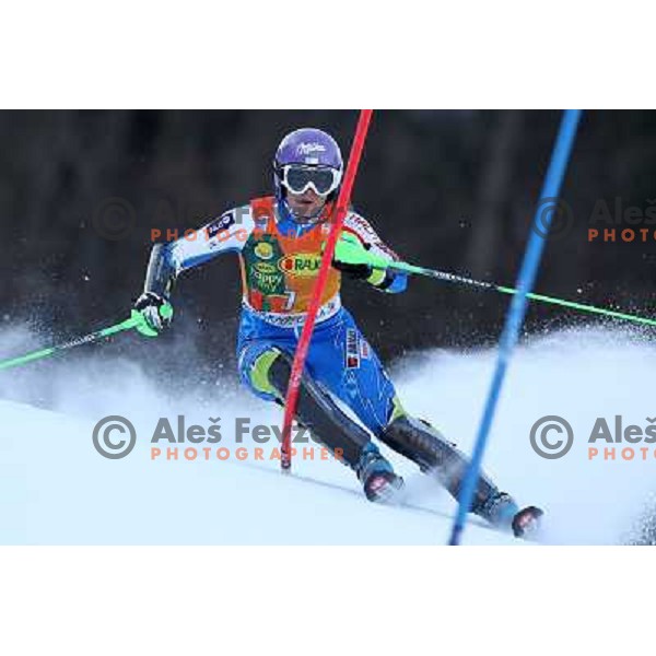 Tina Maze (SLO) skiing in the first run of 48.Zlata Lisica- Golden Fox Trophy FIS SKI World Cup slalom in Kranjska gora, Slovenia on January 22,2012 