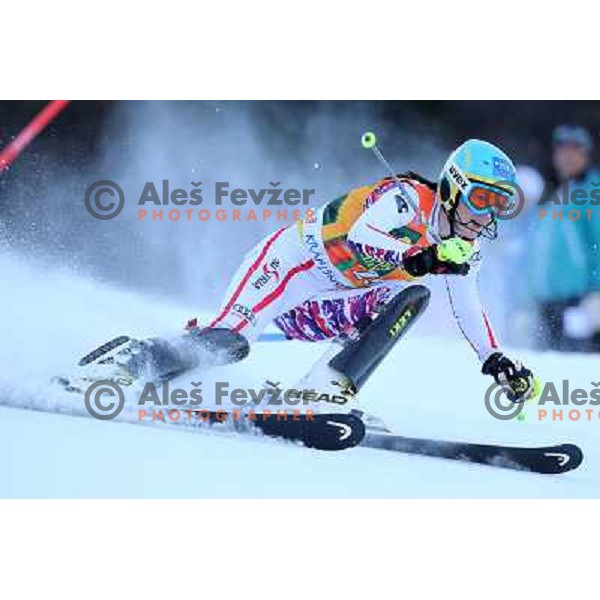 skiing in the first run of 48.Zlata Lisica- Golden Fox Trophy FIS SKI World Cup slalom in Kranjska gora, Slovenia on January 22,2012 