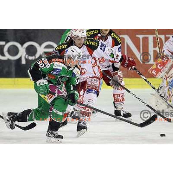 Erik Pance of Tilia Olimpija in action during EBEL league regular season ice-hockey match in round 49 between HDD Tilia Olimpija Ljubljana and EC Kac Klagenfurt in Hala Tivoli, Ljubljana, Slovenia on January 31,2012 