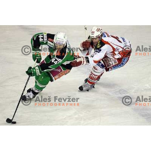 Jamie Fraser of Tilia Olimpija in action during EBEL league regular season ice-hockey match in round 49 between HDD Tilia Olimpija Ljubljana and EC Kac Klagenfurt in Hala Tivoli, Ljubljana, Slovenia on January 31,2012 