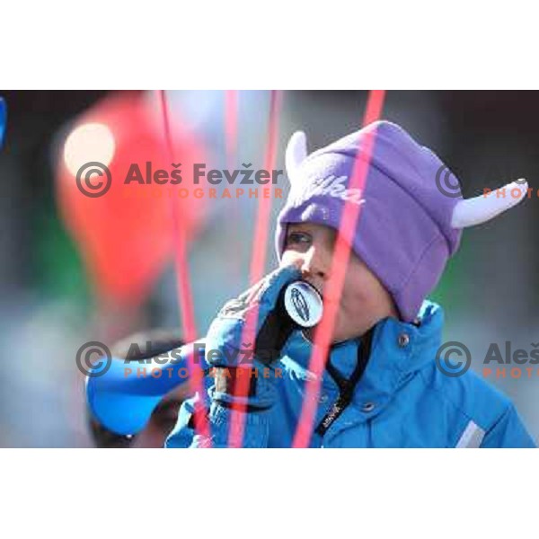 Fans cheering during 48.Zlata Lisica- Golden Fox Trophy FIS SKI World Cup slalom in Kranjska gora, Slovenia on January 22,2012 