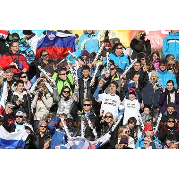 Fans cheering during 48.Zlata Lisica- Golden Fox Trophy FIS SKI World Cup slalom in Kranjska gora, Slovenia on January 22,2012 