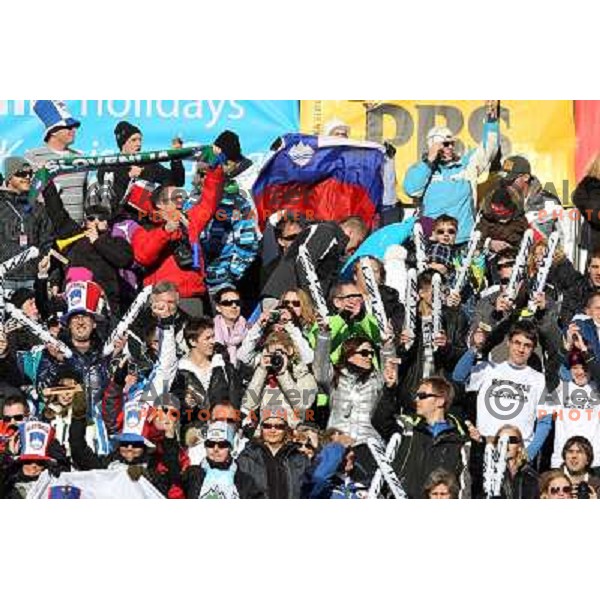 Fans cheering during 48.Zlata Lisica- Golden Fox Trophy FIS SKI World Cup slalom in Kranjska gora, Slovenia on January 22,2012 