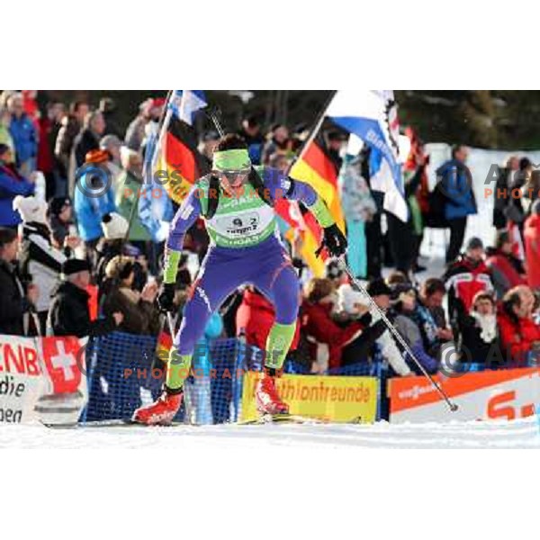 Jakov Fak of Slovenia during biathlon World Cup race in Antholz-Anterselva in Italy on January 22,2012 