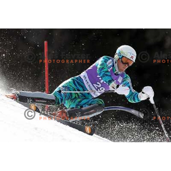 skiing in first run of Audi FIS Alpine Ski World Cup Slalom in Kranjska gora, Slovenia on March 11, 2012 