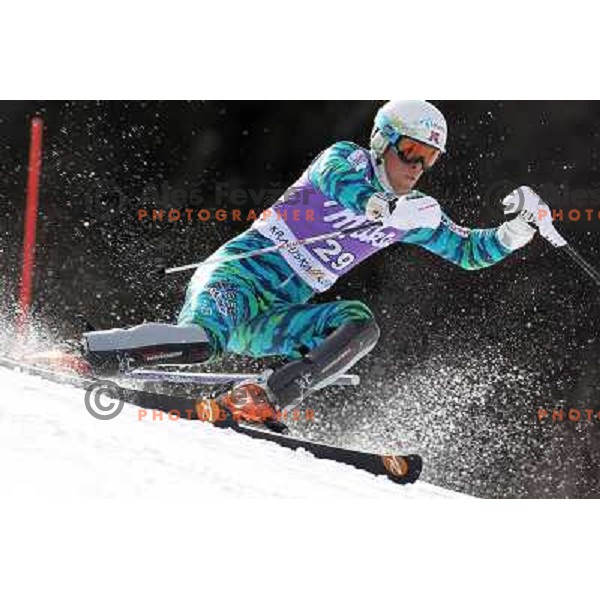 skiing in first run of Audi FIS Alpine Ski World Cup Slalom in Kranjska gora, Slovenia on March 11, 2012 