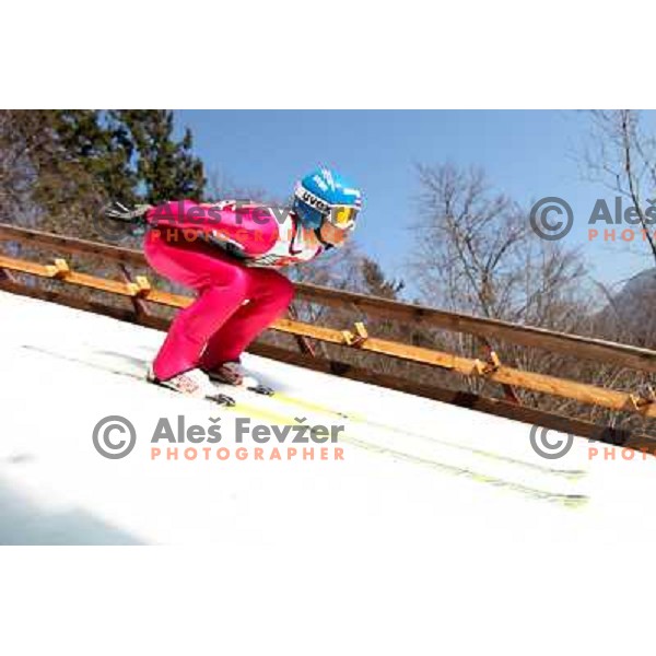 Maciej Kot of Poland during team competition FIS Ski Jumping World Cup Planica 2012, on March 17, 2012, Planica, Slovenia. 