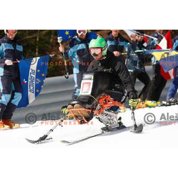 Skier during team competition FIS Ski Jumping World Cup Planica 2012, on March 17, 2012, Planica, Slovenia. 