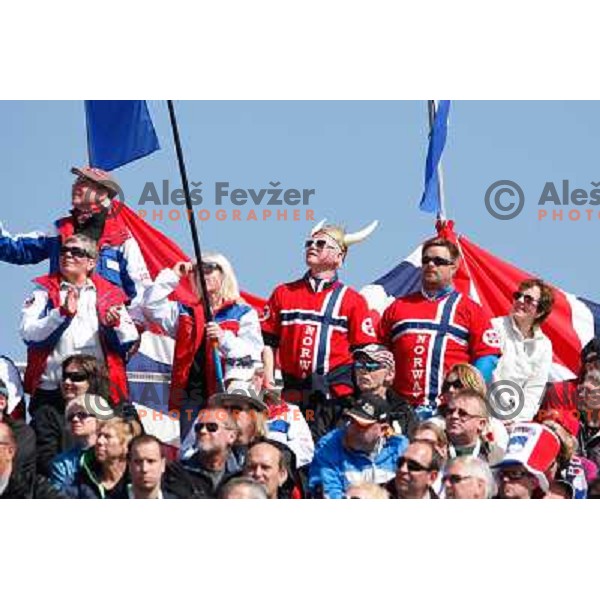 Fans during team competition FIS Ski Jumping World Cup Planica 2012, on March 17, 2012, Planica, Slovenia. 