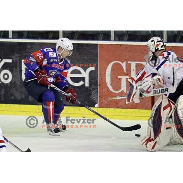 Andrej Hebar of Slovenia in action during friendly ice-hockey match Slovenia-Croatia in Hala Tivoli, Ljubljana, Slovenia on April 7, 2012 